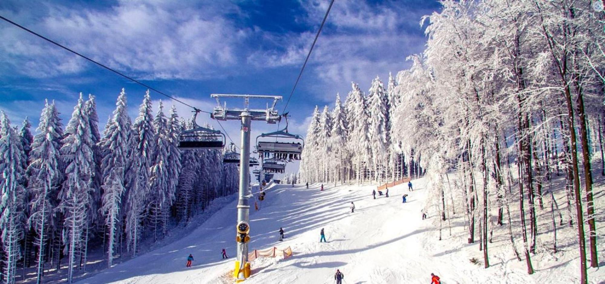 Alpen Appartement Winterberg Bagian luar foto