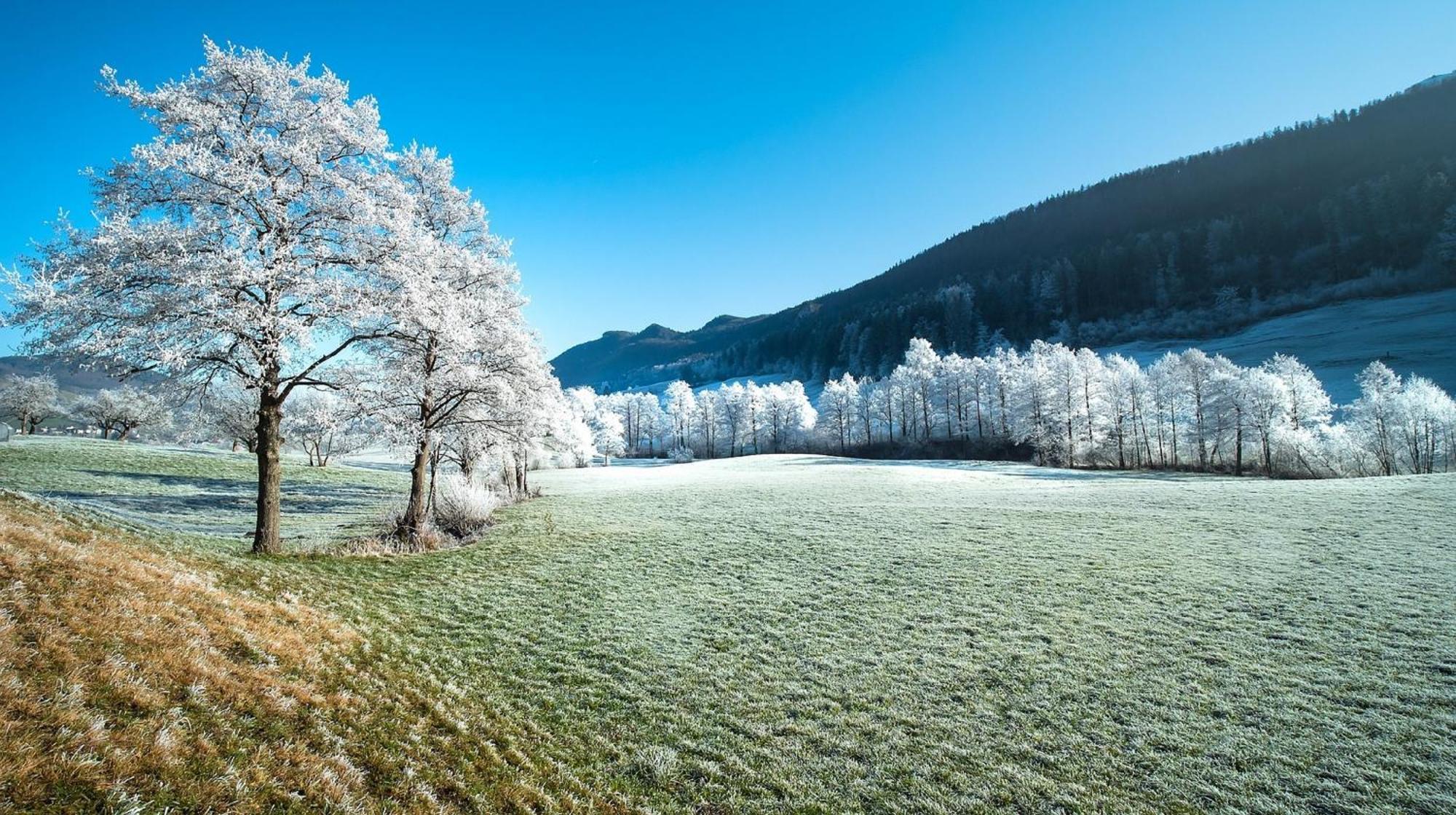 Alpen Appartement Winterberg Bagian luar foto